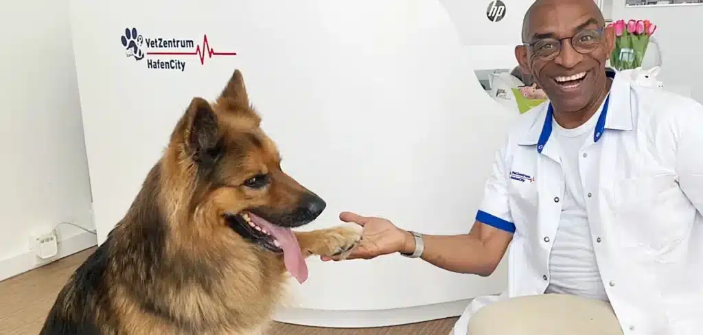 Experte Tierarzt Notdienst Hund Schokolade Hamburg